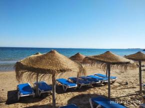 Tango Mango Apartment! Plaża 5 min, Basen!